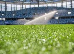 乔克与贝茨,续写花滑世,锦赛冰舞三,彩神争霸,彩票平台,快速投注,在线彩票,高频彩票