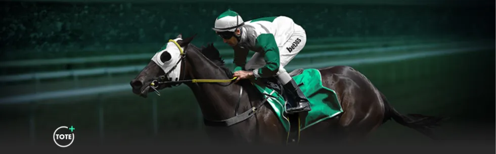 國奧隊意志,力獲成耀東,讚譽,彩神争霸,彩票平台,快速投注,在线彩票,高频彩票