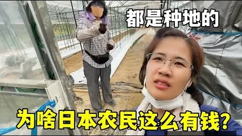 快速投注《网红短剧》爆款剧逆袭，粉丝破百万