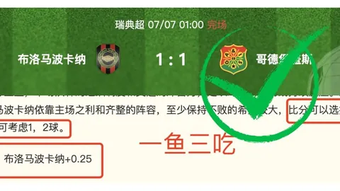 2026年瑞典甲独家分析：18胜13负赛事，不容错过的绝佳机会